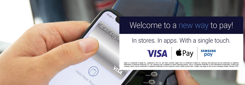 Welcome to a new way to pay! In stores. In apps. With a single touch.